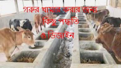 গরুর খামার জন্য কিছু পদ্ধতি ও ডিজাইন ২০২৫ - Some Cow Farm Method & Design 2025