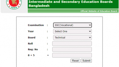 কারিগরি শিক্ষা বোর্ডের এস এস সি রেজাল্ট ২০২৫ মার্কশীট সহ (Technical Board SSC Result 2025 Marksheet)