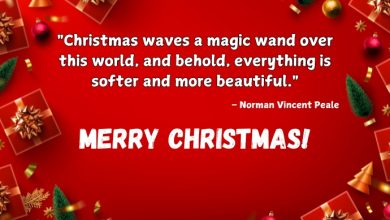 Merry Christmas Quotes 2024