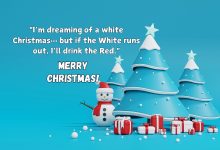 Short Funny Christmas Quotes 2024