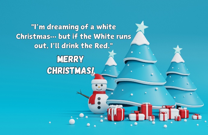 Short Funny Christmas Quotes 2024